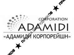 ADAMIDI Corporation